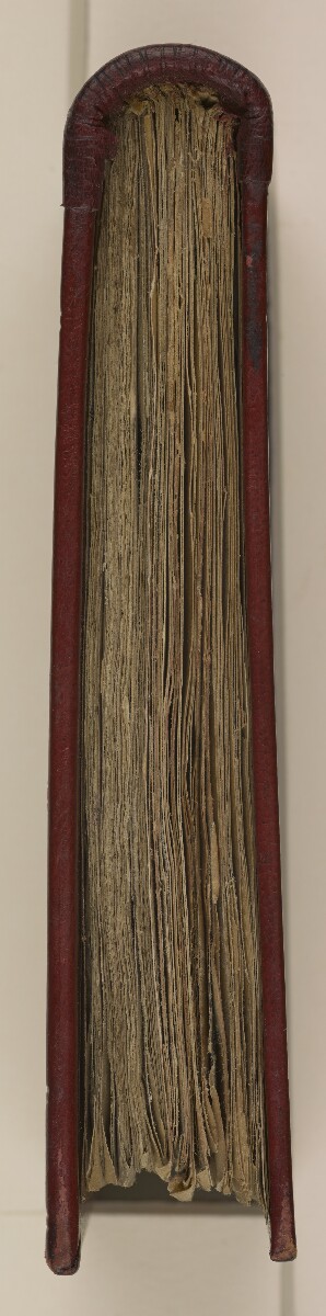 Composite manuscript, mostly medical [&lrm;head] (6/194)